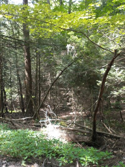 Lower Witmer Park - Clearfield, PA