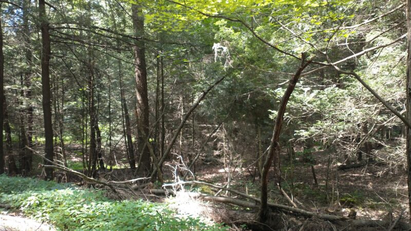 Lower Witmer Park - Clearfield, PA