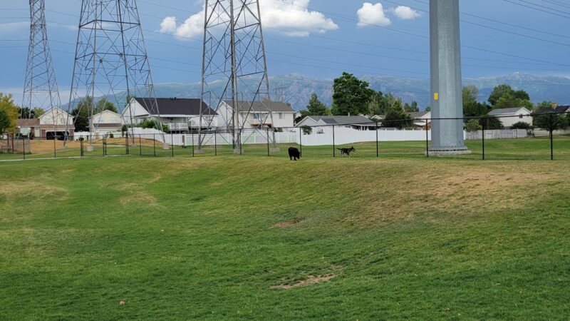 Barlow Dog Park - Clearfield, UT