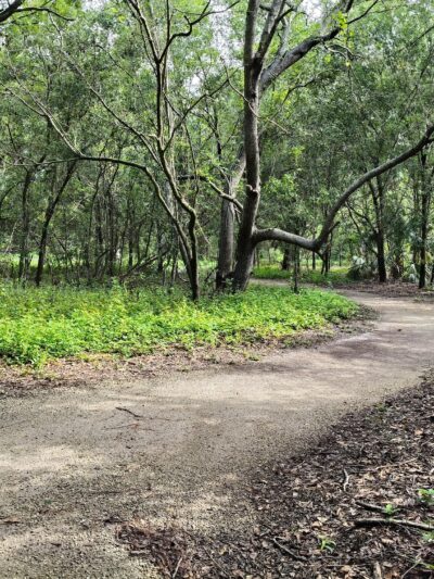 Eagle Lake Dog Park #1 - Clearwater, FL