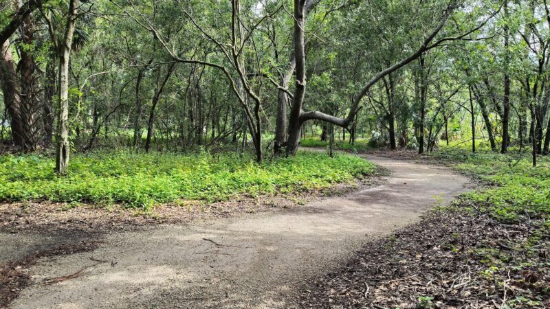 Eagle Lake Dog Park #1 - Clearwater, FL
