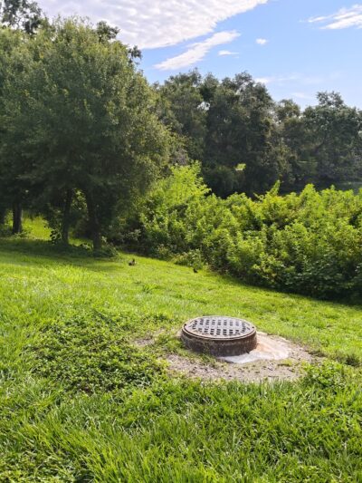 Eagle Lake Dog Park #1 - Clearwater, FL