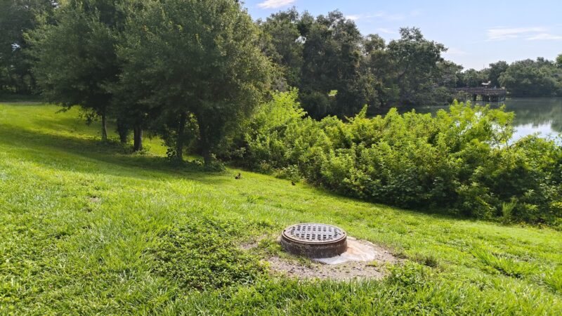 Eagle Lake Dog Park #1 - Clearwater, FL
