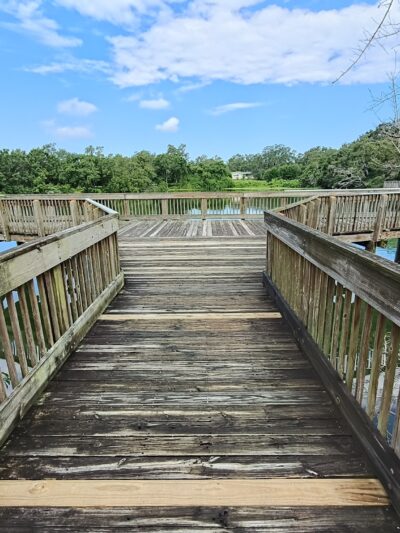 Eagle Lake Dog Park #1 - Clearwater, FL