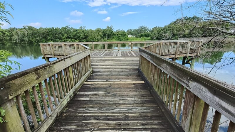 Eagle Lake Dog Park #1 - Clearwater, FL