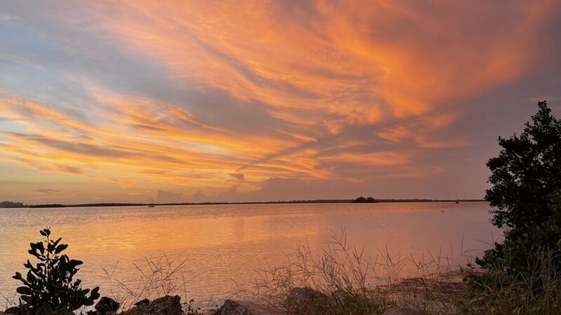 Edgewater Drive Park - Clearwater, FL