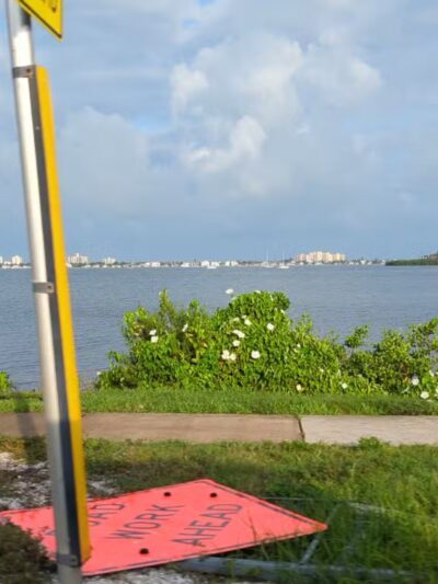 Edgewater Drive Park - Clearwater, FL