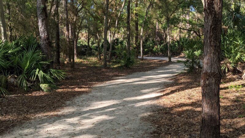 Largo Datsko Park - Clearwater, FL