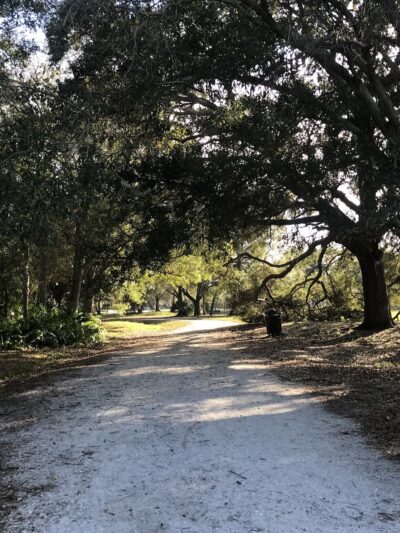 Largo Datsko Park - Clearwater, FL