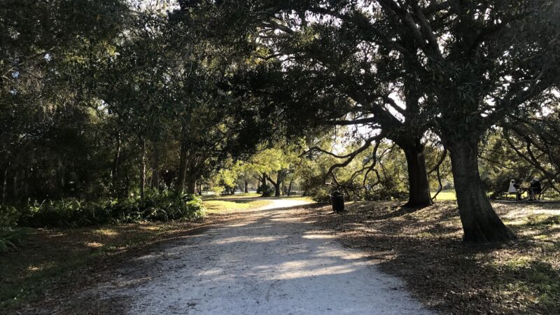 Largo Datsko Park - Clearwater, FL