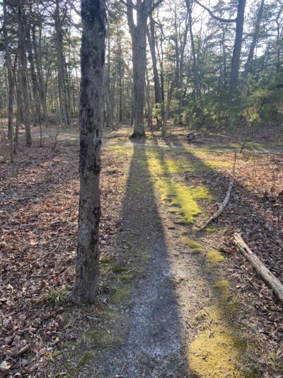 Lake Worth - Clementon, NJ