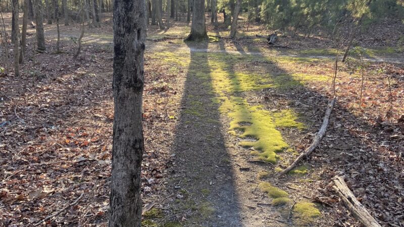 Lake Worth - Clementon, NJ