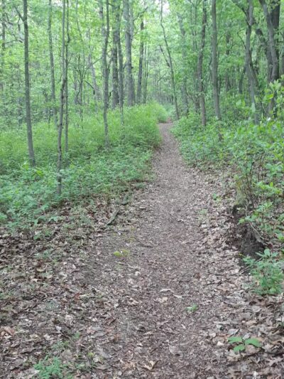 Lake Worth - Clementon, NJ