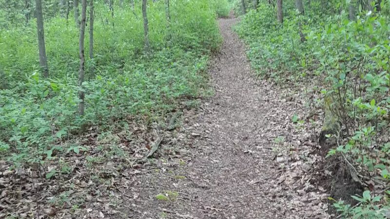 Lake Worth - Clementon, NJ