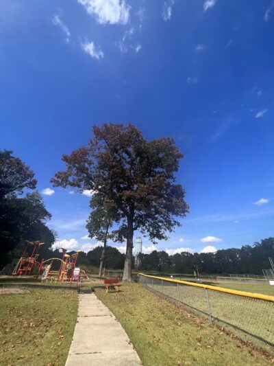 Lake Worth - Clementon, NJ