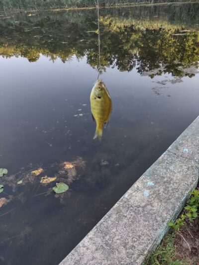 Lake Worth - Clementon, NJ