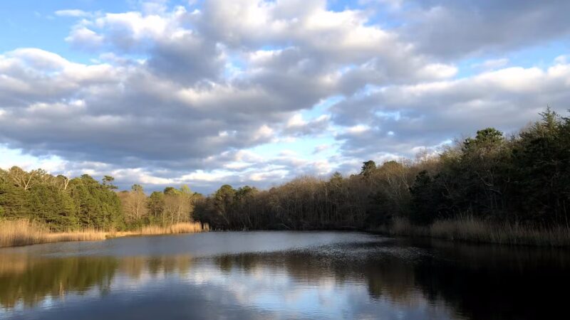 Lake Worth - Clementon, NJ