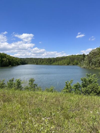 Yonah Preserve Trails - Cleveland, GA