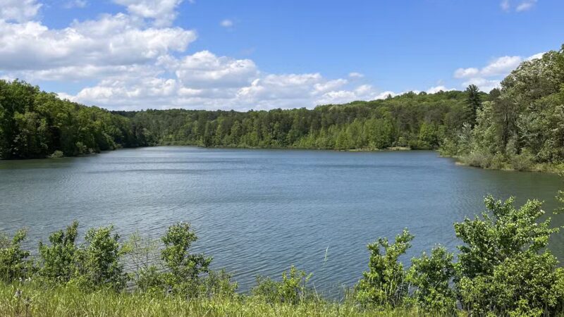 Yonah Preserve Trails - Cleveland, GA