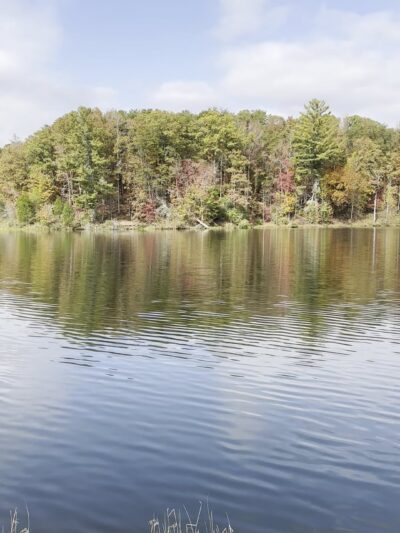 Yonah Preserve Trails - Cleveland, GA