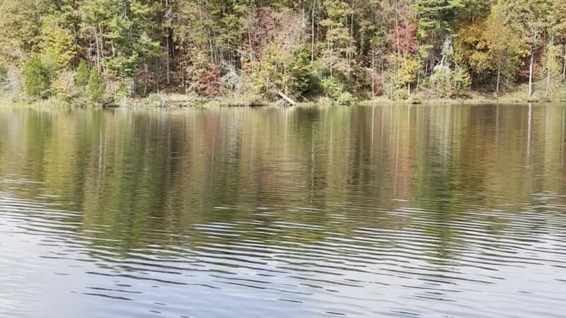 Yonah Preserve Trails - Cleveland, GA