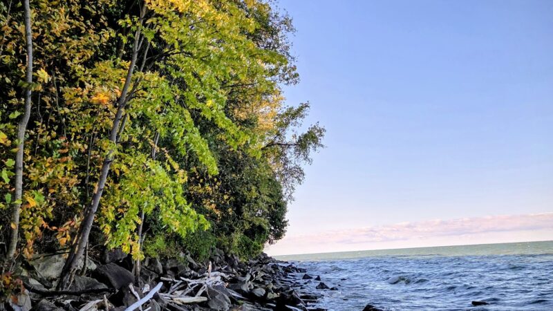 K-9 Coastline - Cleveland, OH
