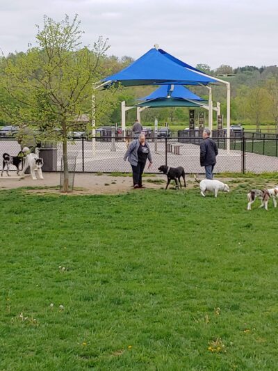 Simmonds Family Dog Park - Cleves, OH