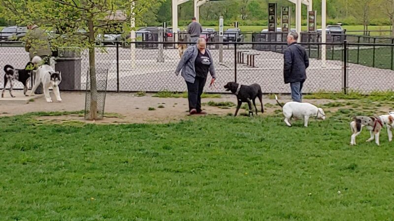Simmonds Family Dog Park - Cleves, OH
