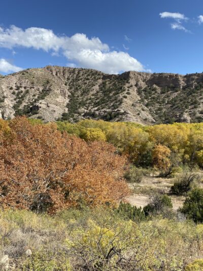 Box Canyon Day Use Area - Cliff, NM