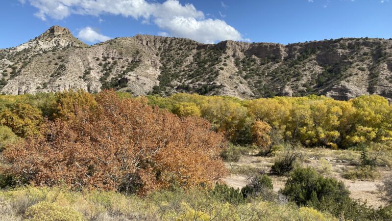 Box Canyon Day Use Area - Cliff, NM