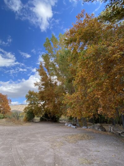 Box Canyon Day Use Area - Cliff, NM
