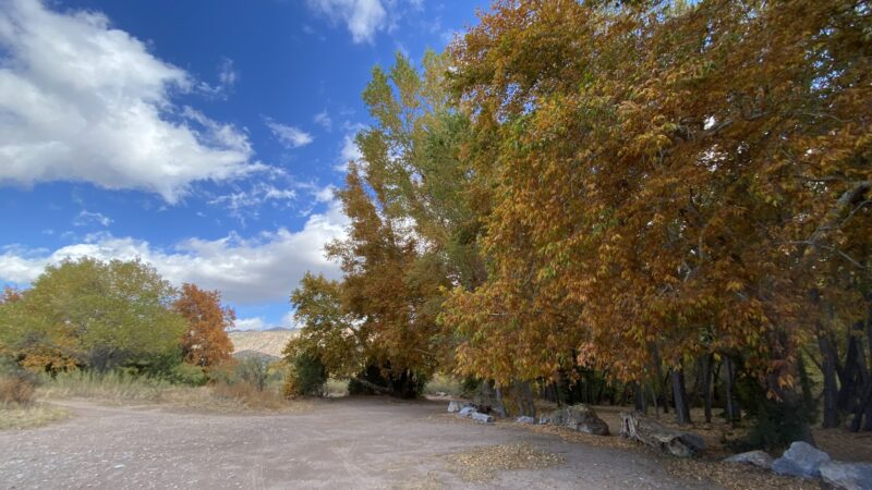 Box Canyon Day Use Area - Cliff, NM