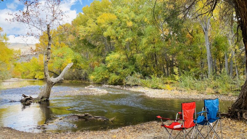 Box Canyon Day Use Area - Cliff, NM