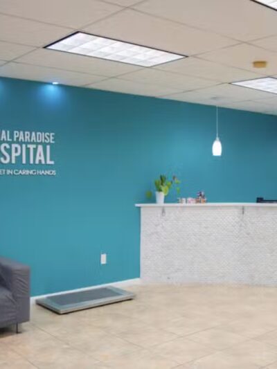 Animal Paradise Hospital - Cliffside Park, NJ