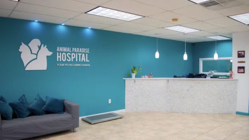 Animal Paradise Hospital - Cliffside Park, NJ