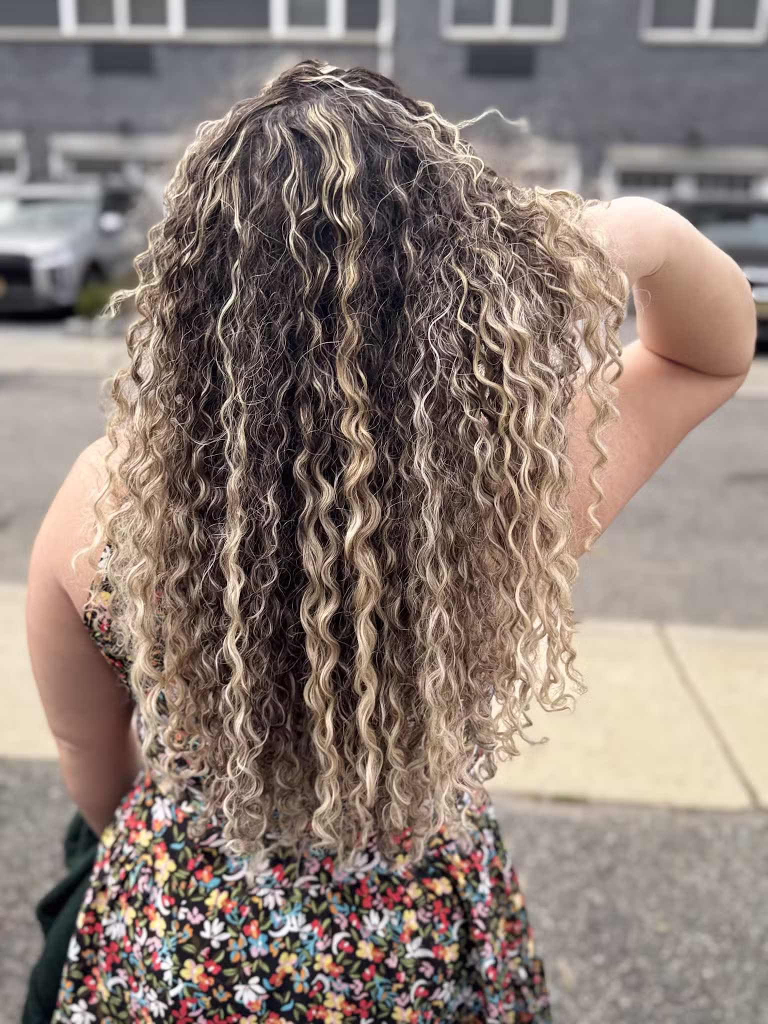 DN SALON - Cliffside Park, NJ