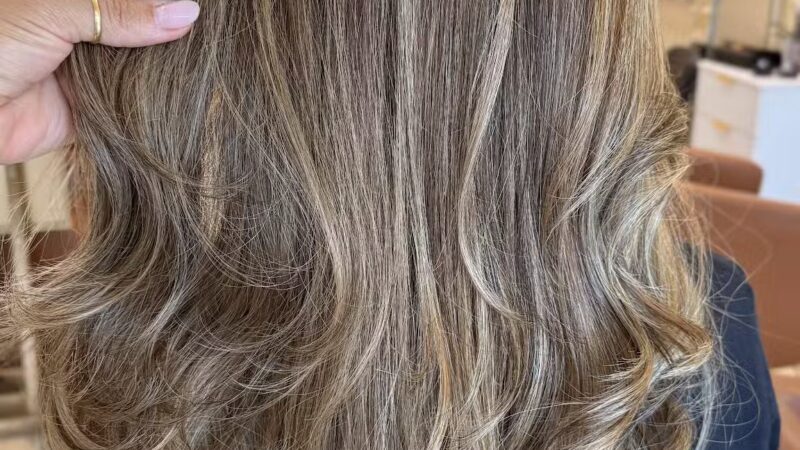 DN SALON - Cliffside Park, NJ