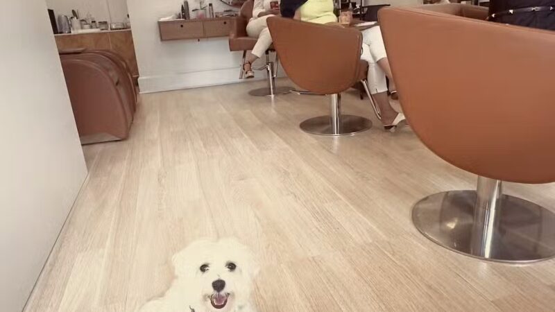 DN SALON - Cliffside Park, NJ