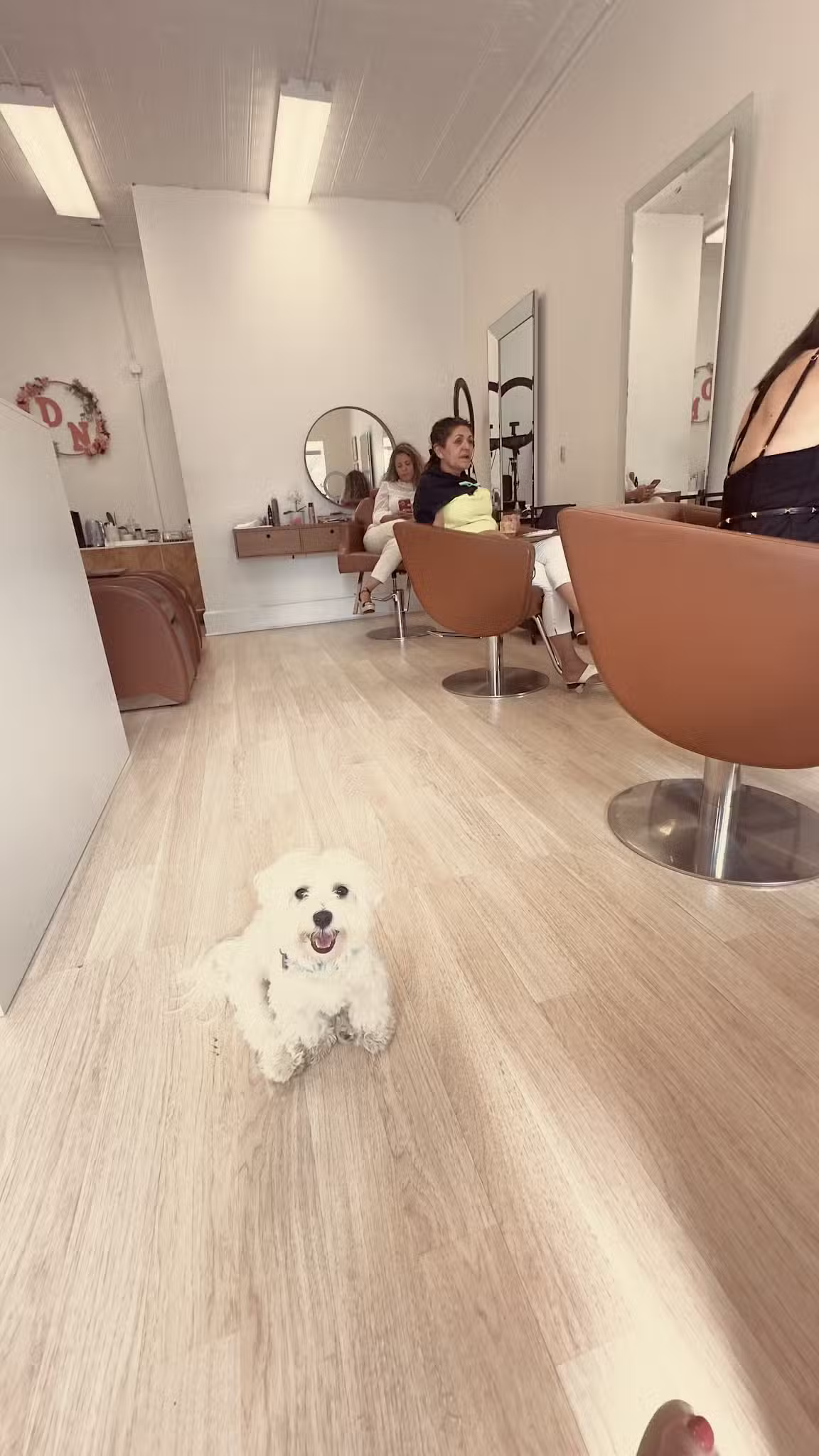 DN SALON - Cliffside Park, NJ