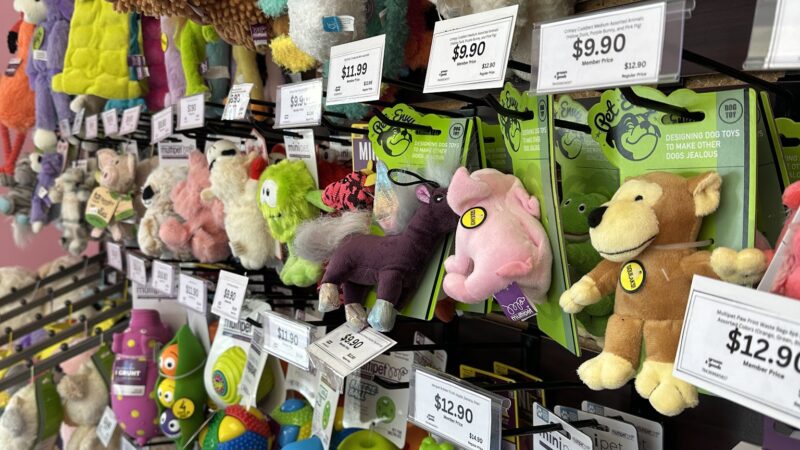 Groom & Goods – Dog Grooming & Pet Supply | Cliffside Park - Cliffside Park, NJ