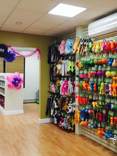 Head To Tail - Cliffside Park, NJ