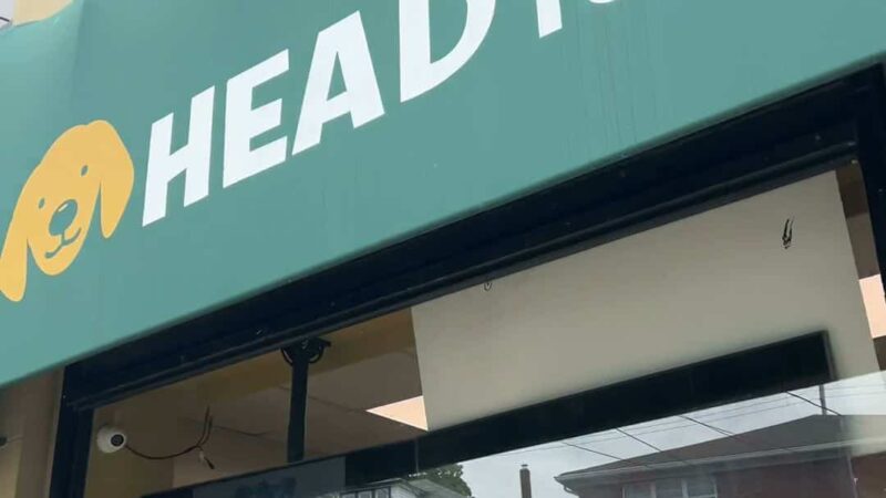 Head To Tail - Cliffside Park, NJ