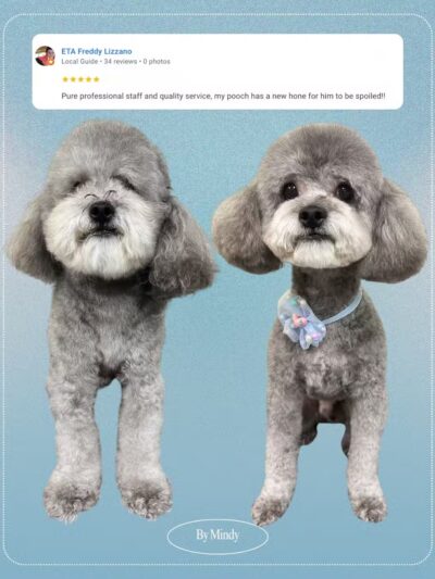 Head To Tail - Cliffside Park, NJ