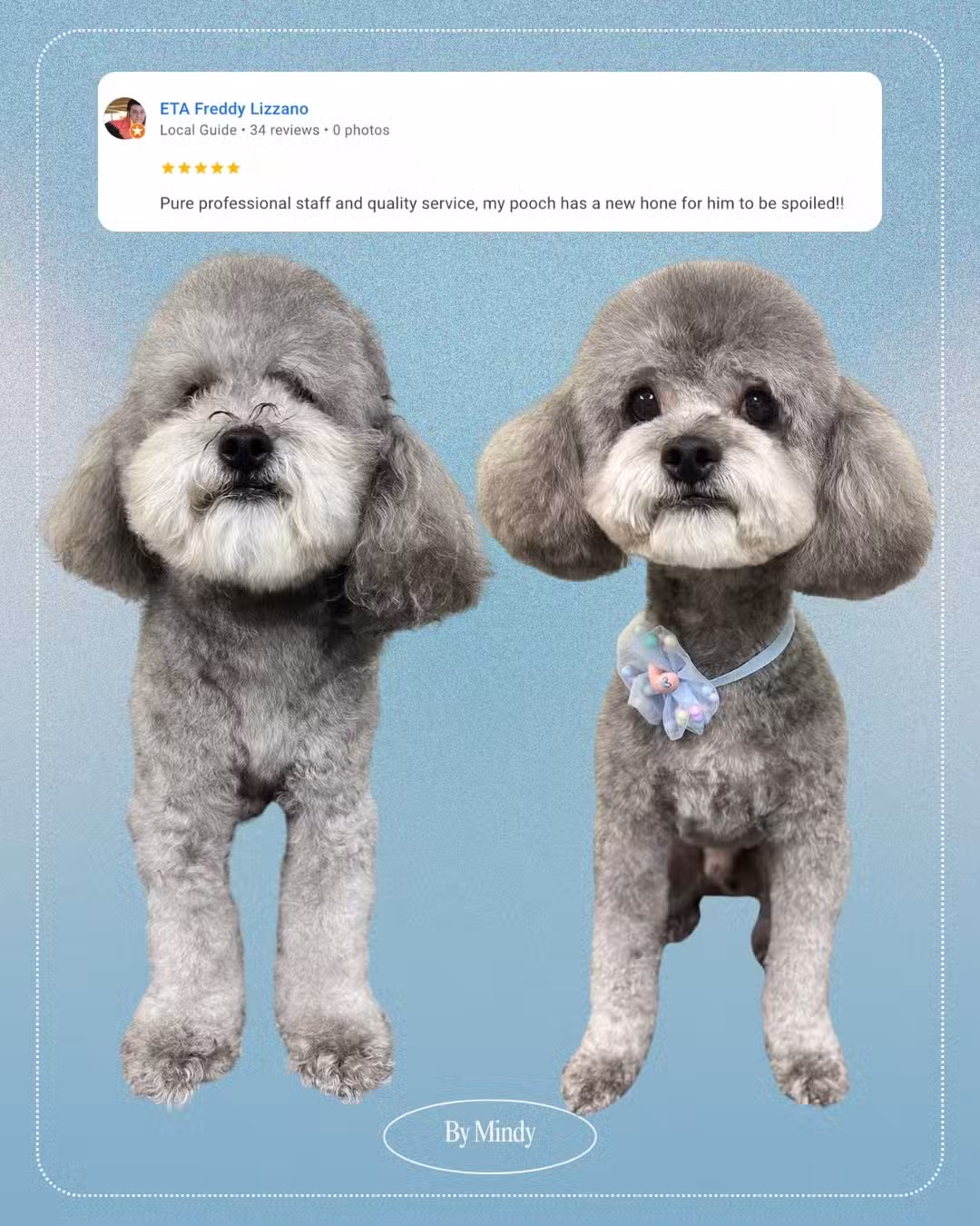 Head To Tail - Cliffside Park, NJ