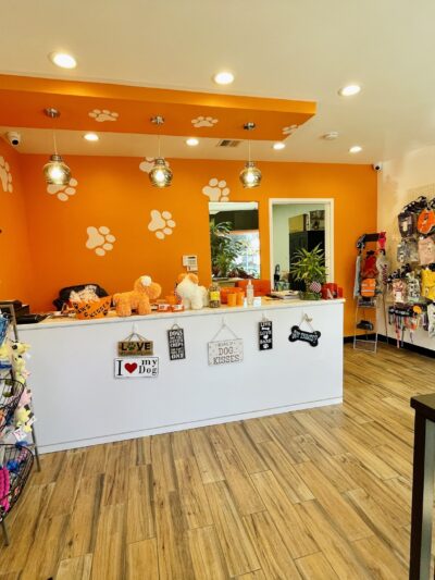 Paws & Kisses - Cliffside Park, NJ