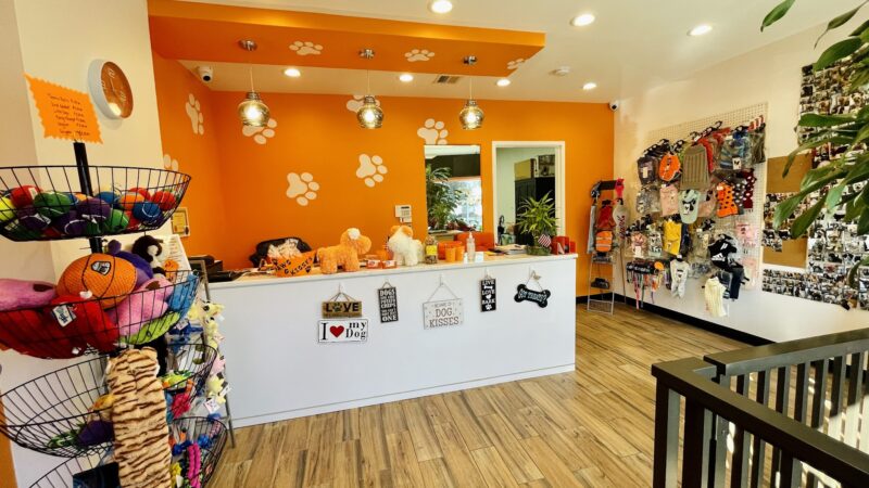 Paws & Kisses - Cliffside Park, NJ