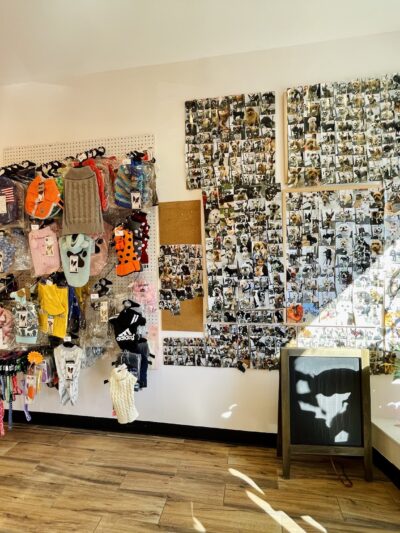 Paws & Kisses - Cliffside Park, NJ