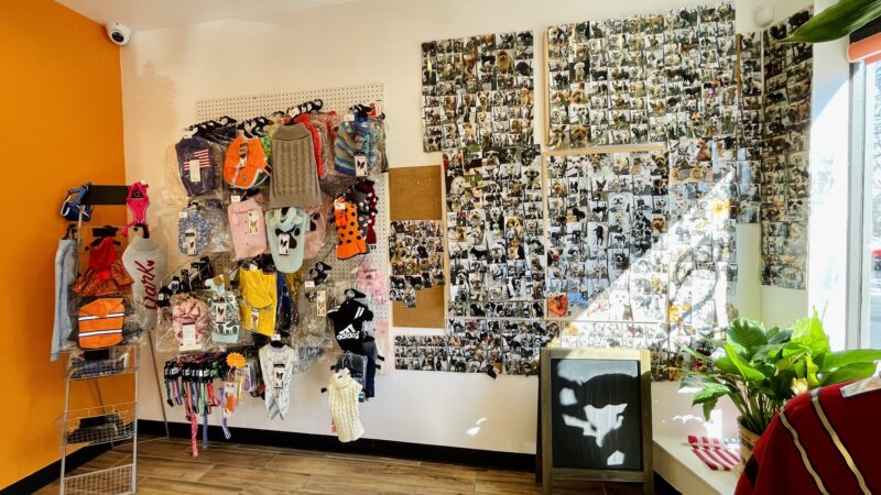 Paws & Kisses - Cliffside Park, NJ