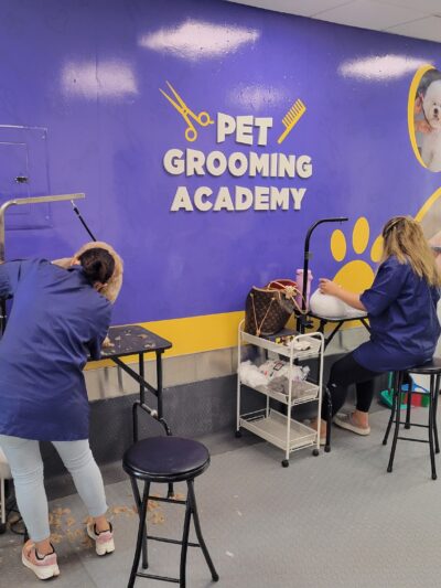 Pet Grooming Academy - Cliffside Park, NJ