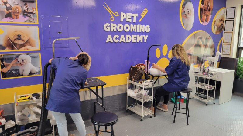 Pet Grooming Academy - Cliffside Park, NJ